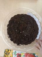 Ребята превратились в настоящих садоводов.